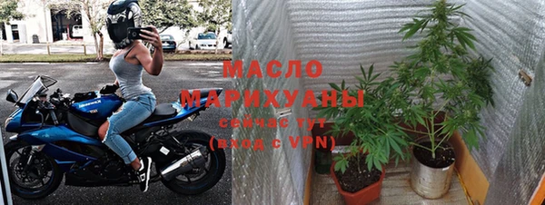 индика Балабаново