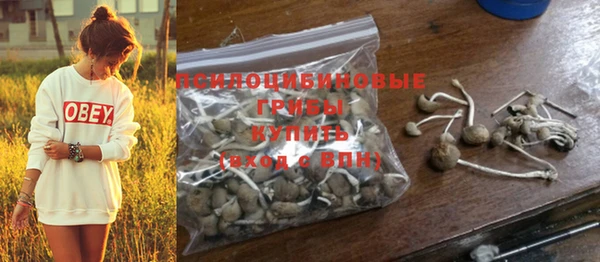 прущая мука Шали