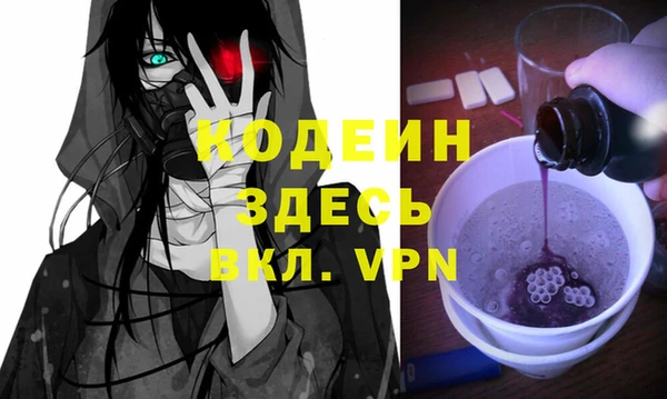 индика Балабаново