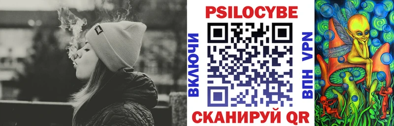 наркошоп  Новохопёрск  Псилоцибиновые грибы Magic Shrooms 